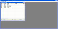 Baksoft Software Example